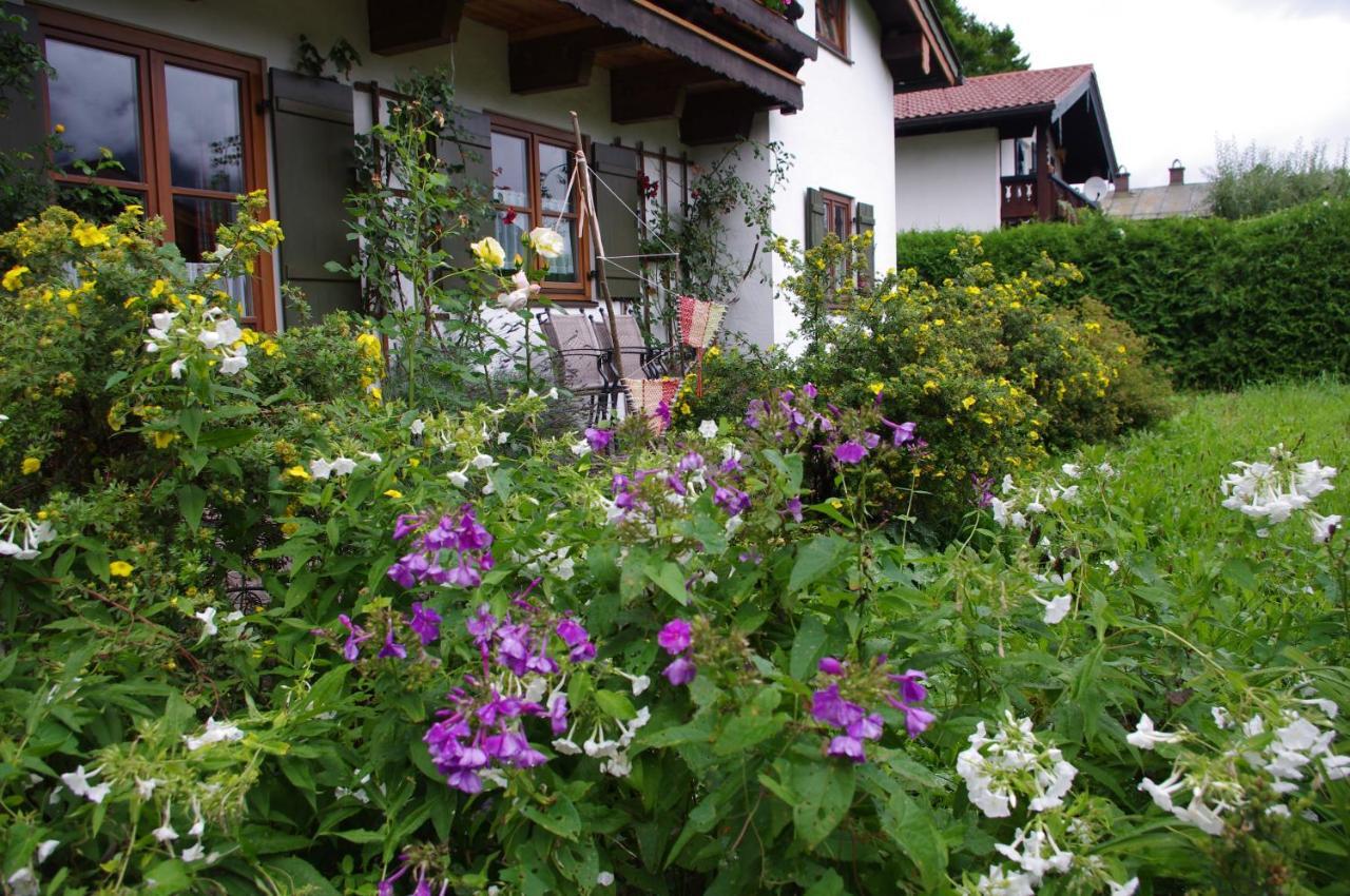 Ferienwohnung Haus Alpenrebe เชอเนา อัม เคอนิกเซ ภายนอก รูปภาพ