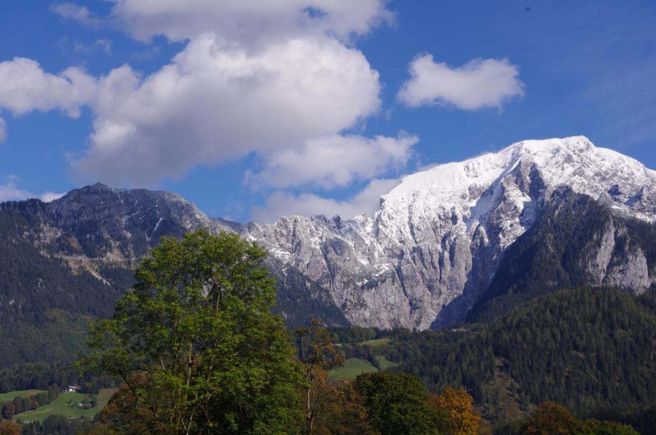 Ferienwohnung Haus Alpenrebe เชอเนา อัม เคอนิกเซ ภายนอก รูปภาพ